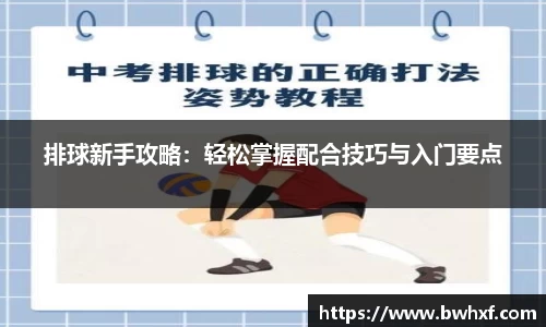 排球新手攻略：轻松掌握配合技巧与入门要点