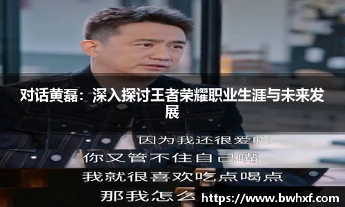 对话黄磊：深入探讨王者荣耀职业生涯与未来发展