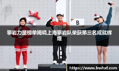 攀岩力量榜单揭晓上海攀岩队荣获第三名成就辉煌